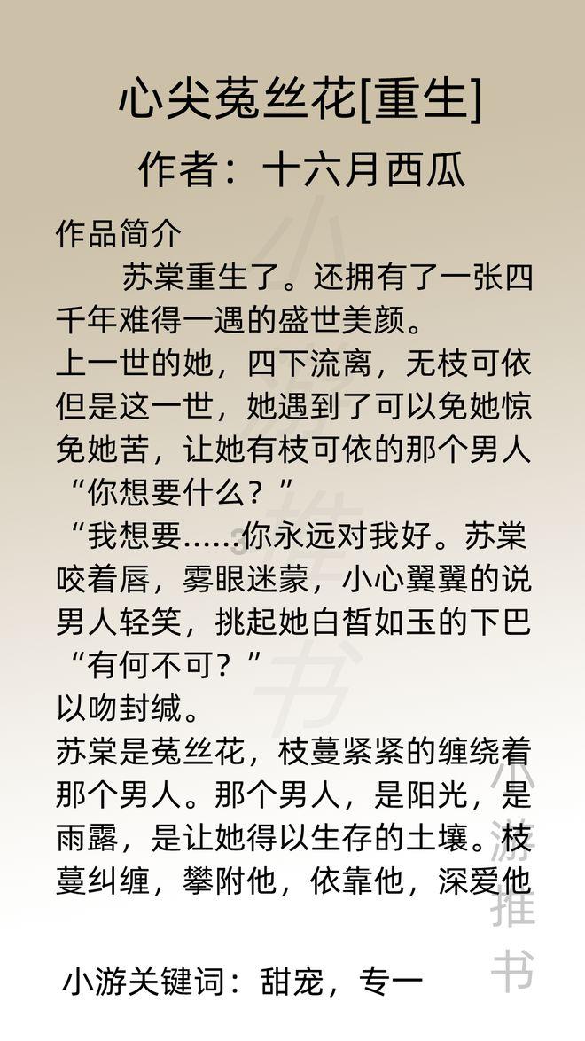 小猫钓鱼正版下载中文版